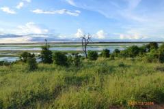 Africa-1224
