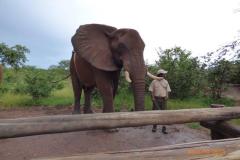 Africa-586