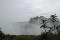 Africa-689