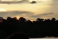Africa-782