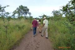 Africa-796