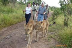 Africa-802