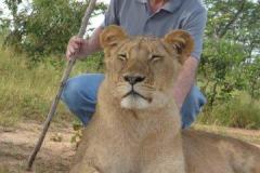 Africa-865