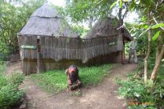Africa-920