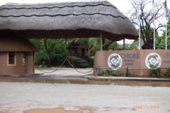 Africa-944