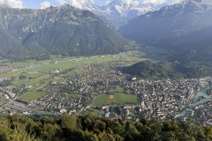 IMG_2944