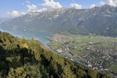 IMG_2945