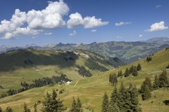 IMG_2957