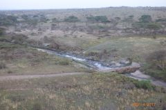 P1100194