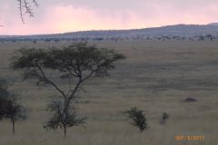 P1100328