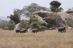 P1100430