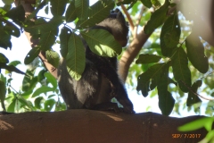P1100568