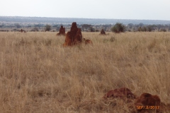 P1100681