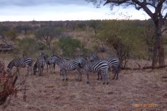 P1100732