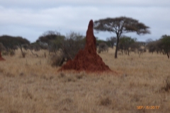 P1100739