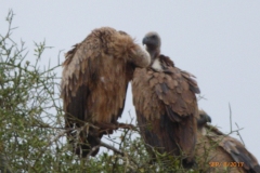 P1100745