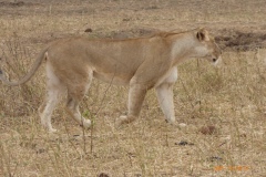 P1100773