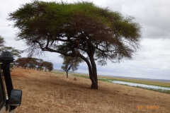 P1100853
