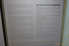 P1110008
