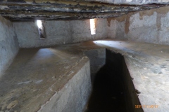 P1110010