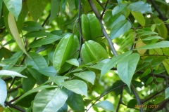 P1110066