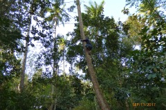 P1110076