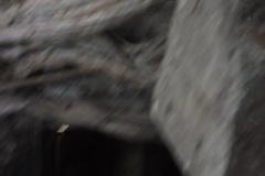 DSCF0141