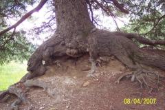 Timberone-Aug-2007-021