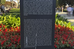 IMG_5194