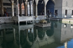 IMG_5222