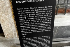 IMG_5233