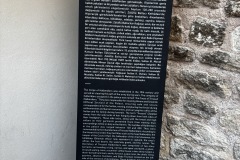 IMG_5245