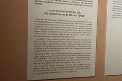 IMG_5265