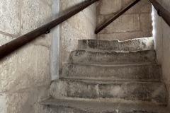 IMG_5270