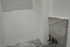 IMG_5277