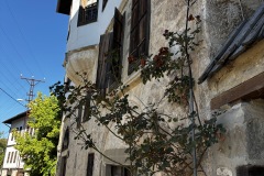 IMG_5409