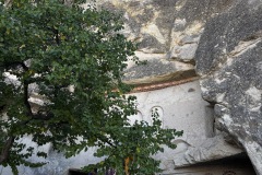 IMG_5414