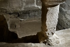 IMG_5468