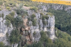 IMG_5787