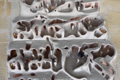 IMG_5853