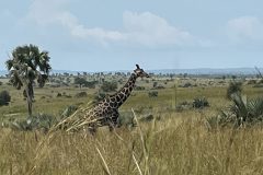 IMG_8681-rotated