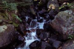 NP-Trip-83