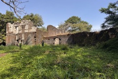 IMG_7204