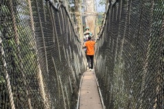 IMG_7305