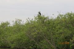 VDXA4228